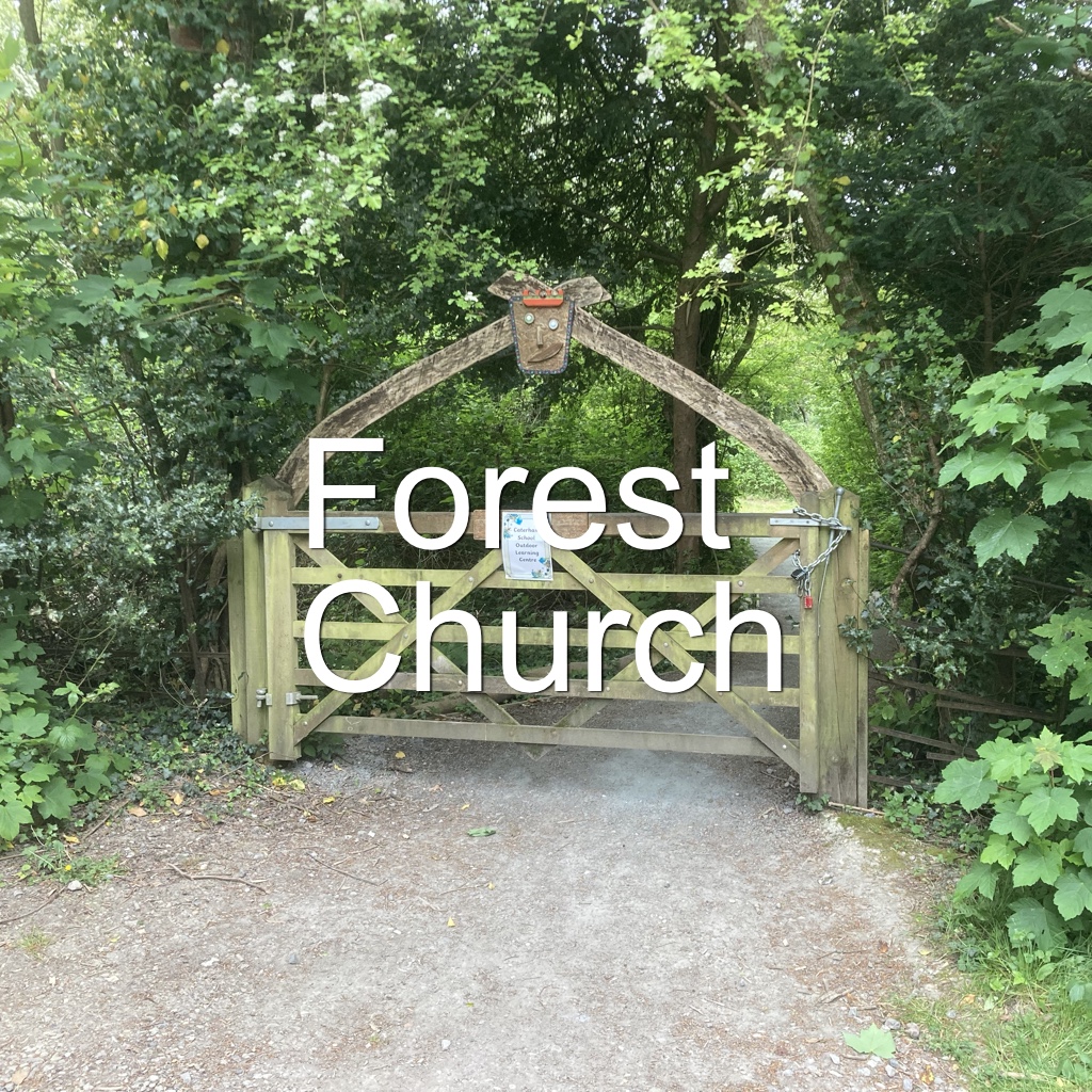 Forest Church 2026