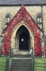 The poppies around the porch